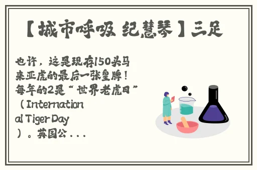 AV无码九九久久